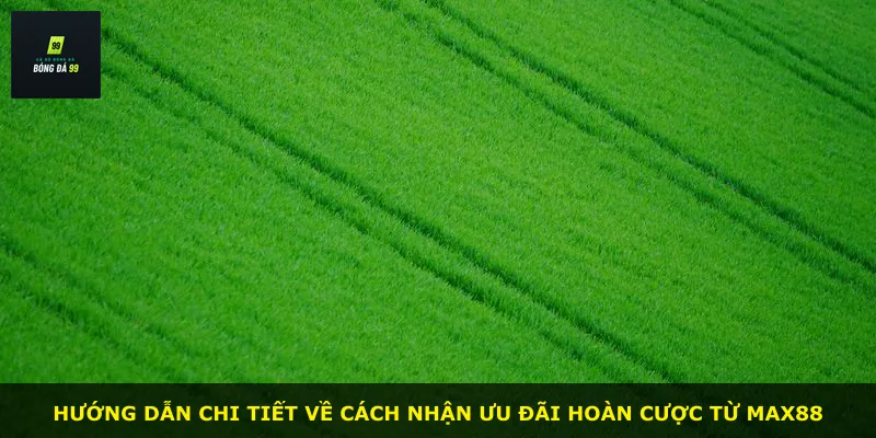 Hướng dẫn chi tiết về cách nhận ưu đãi hoàn cược từ MAX88