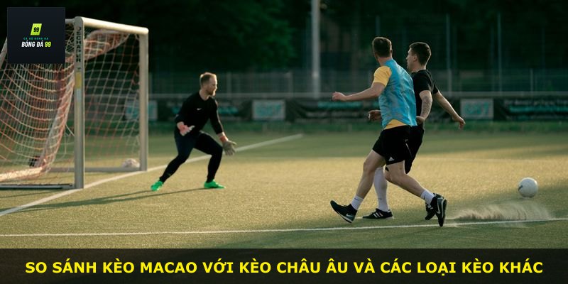 So sánh kèo Macao với kèo châu Âu và các loại kèo khác
